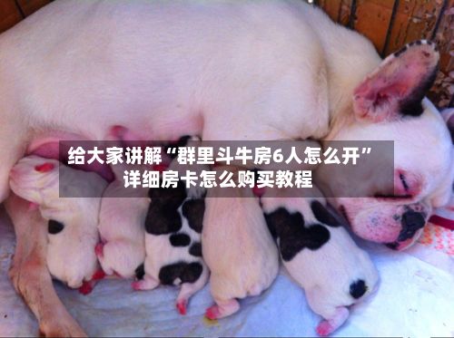 给大家讲解“群里斗牛房6人怎么开”详细房卡怎么购买教程