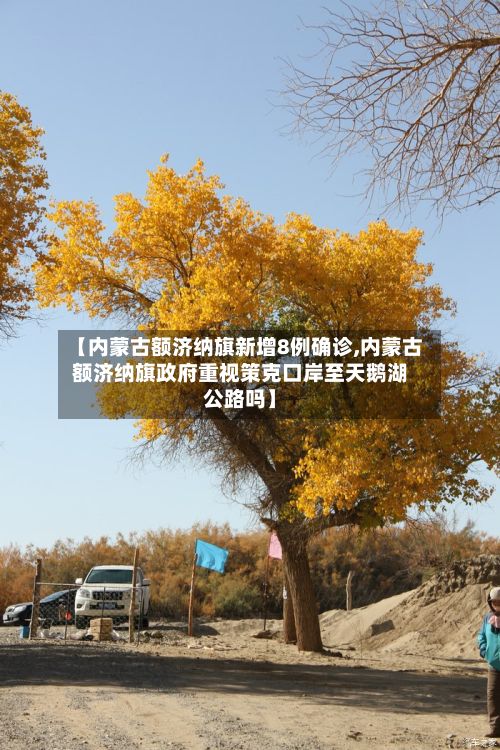 【内蒙古额济纳旗新增8例确诊,内蒙古额济纳旗政府重视策克口岸至天鹅湖公路吗】