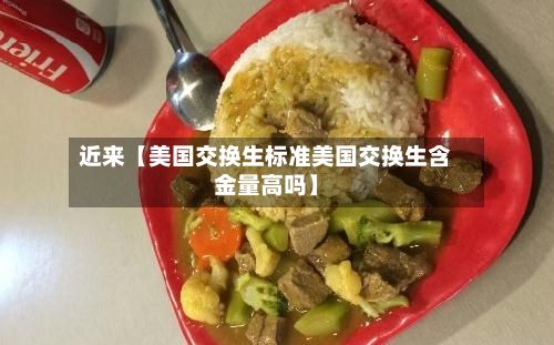 近来【美国交换生标准美国交换生含金量高吗】-第3张图片