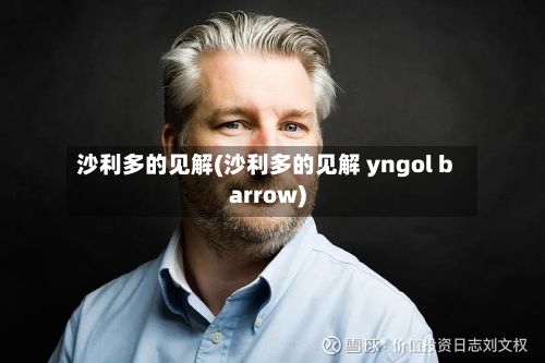沙利多的见解(沙利多的见解 yngol barrow)