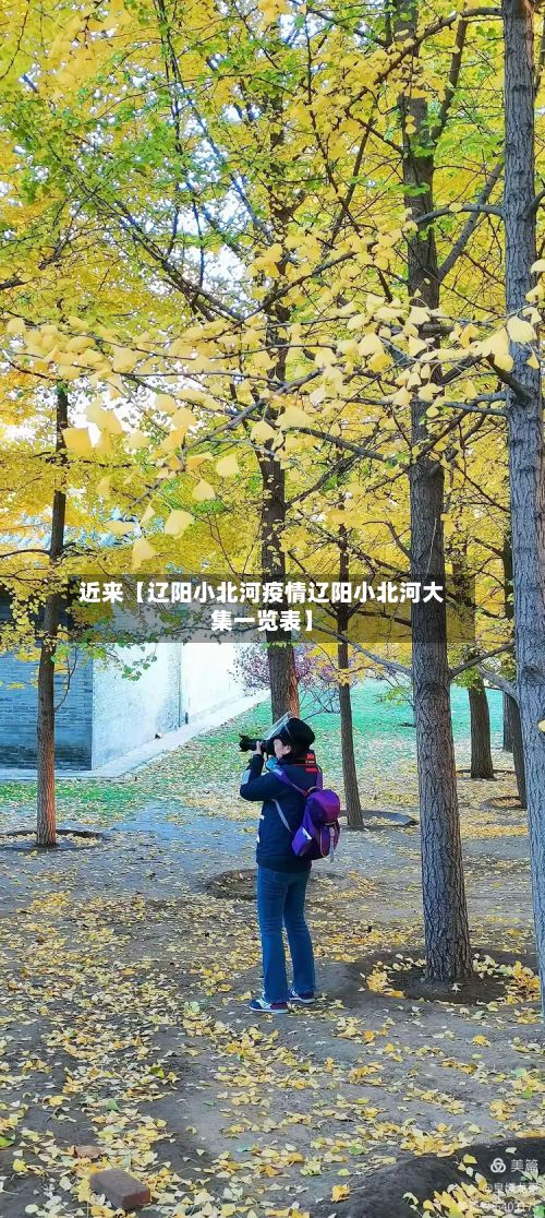 近来【辽阳小北河疫情辽阳小北河大集一览表】-第2张图片