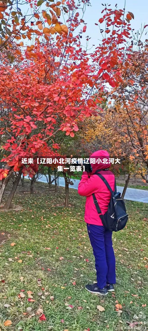 近来【辽阳小北河疫情辽阳小北河大集一览表】-第3张图片