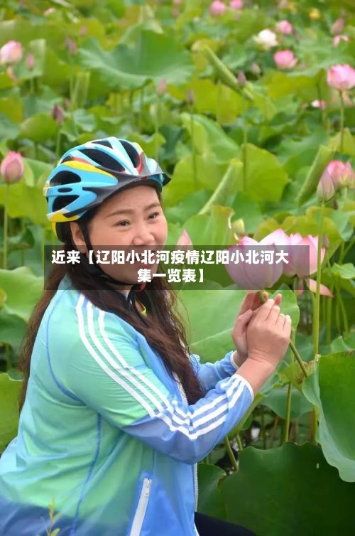 近来【辽阳小北河疫情辽阳小北河大集一览表】