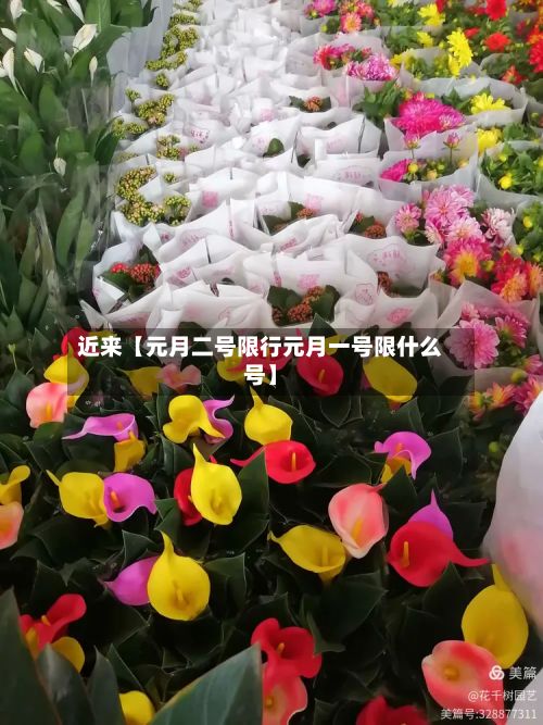 近来【元月二号限行元月一号限什么号】-第3张图片