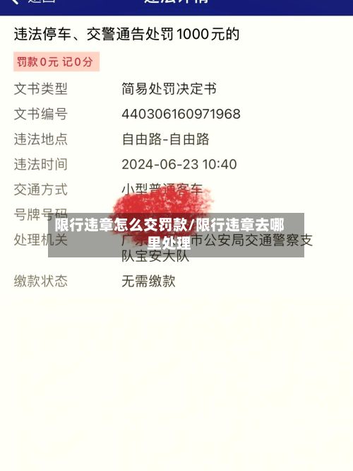 限行违章怎么交罚款/限行违章去哪里处理