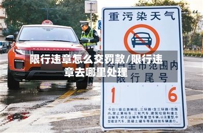 限行违章怎么交罚款/限行违章去哪里处理-第3张图片
