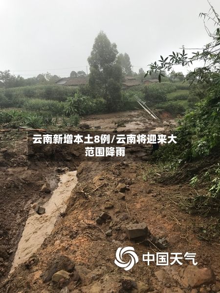 云南新增本土8例/云南将迎来大范围降雨