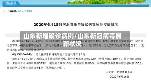 山东新增确诊病例/山东新冠病毒最新状况-第2张图片