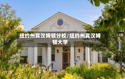 纽约州宾汉姆顿分校/纽约州宾汉姆顿大学-第2张图片
