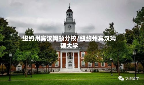 纽约州宾汉姆顿分校/纽约州宾汉姆顿大学