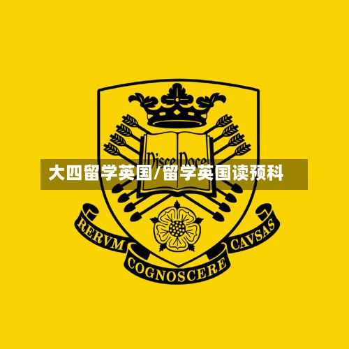 大四留学英国/留学英国读预科