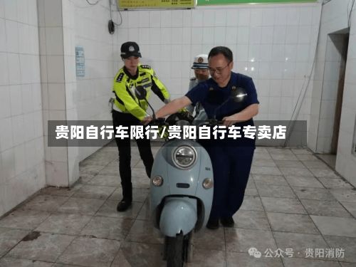 贵阳自行车限行/贵阳自行车专卖店