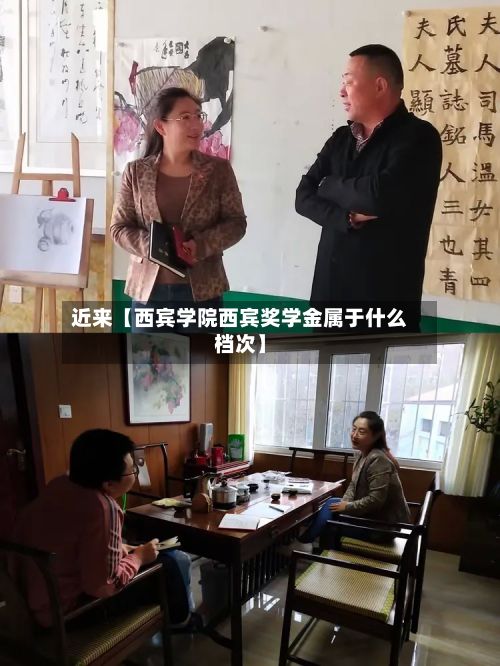 近来【西宾学院西宾奖学金属于什么档次】-第3张图片