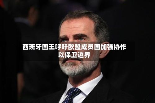 西班牙国王呼吁欧盟成员国加强协作以保卫边界-第2张图片