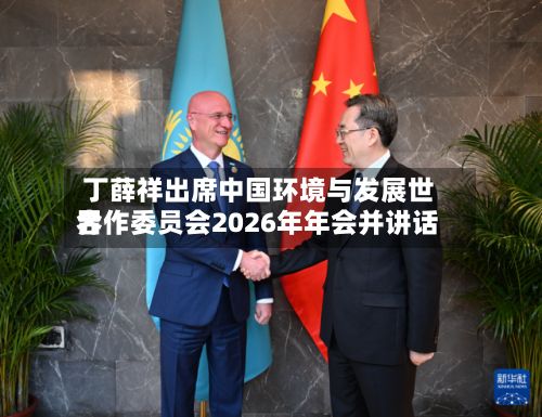 丁薛祥出席中国环境与发展世界
合作委员会2026年年会并讲话-第3张图片
