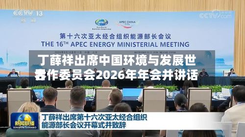 丁薛祥出席中国环境与发展世界
合作委员会2026年年会并讲话