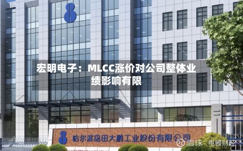 宏明电子:MLCC涨价对公司整体业绩影响有限-第3张图片