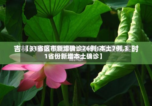【31省区市新增确诊26例:本土7例,31省份新增本土确诊】