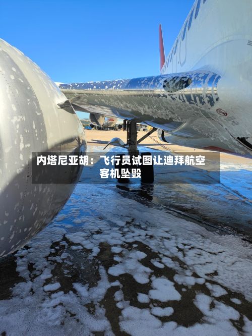 内塔尼亚胡:飞行员试图让迪拜航空客机坠毁