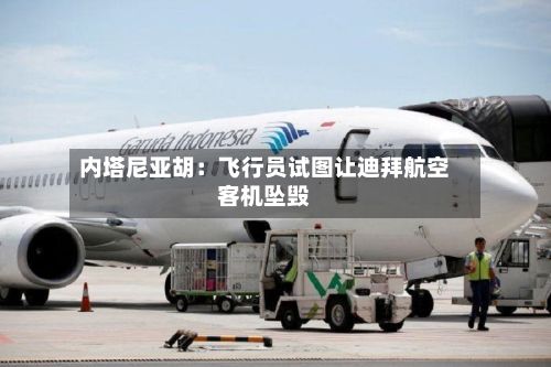 内塔尼亚胡:飞行员试图让迪拜航空客机坠毁-第3张图片