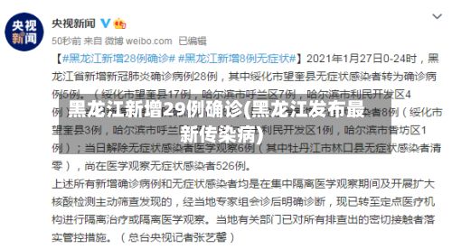 黑龙江新增29例确诊(黑龙江发布最新传染病)