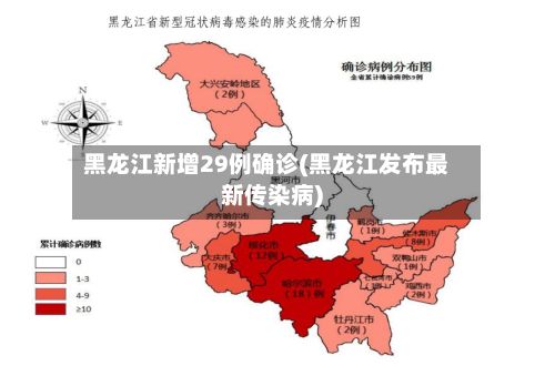 黑龙江新增29例确诊(黑龙江发布最新传染病)-第2张图片