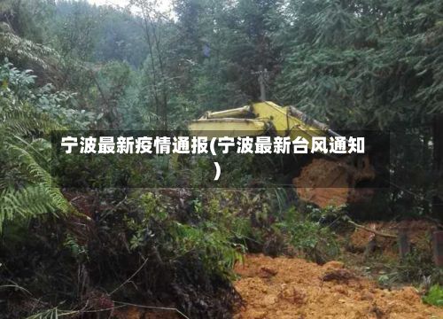 宁波最新疫情通报(宁波最新台风通知)