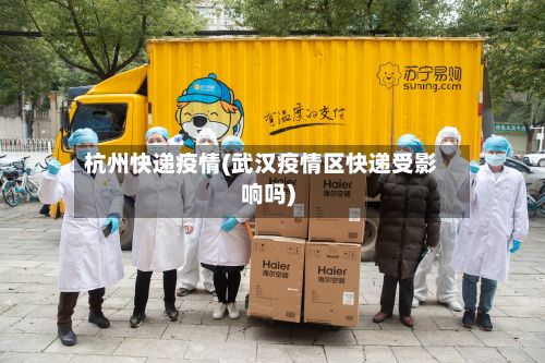 杭州快递疫情(武汉疫情区快递受影响吗)-第3张图片