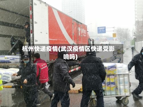 杭州快递疫情(武汉疫情区快递受影响吗)