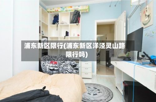 浦东新区限行(浦东新区洋泾灵山路限行吗)-第1张图片