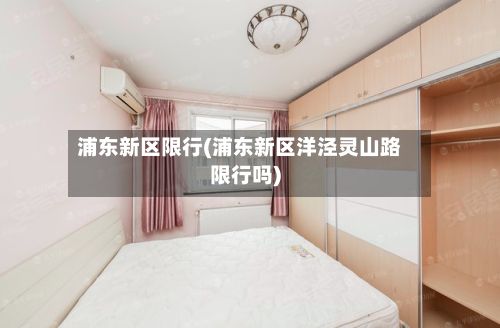 浦东新区限行(浦东新区洋泾灵山路限行吗)-第3张图片
