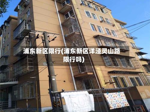 浦东新区限行(浦东新区洋泾灵山路限行吗)-第2张图片