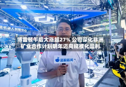 博雷顿午后大涨超27% 公司深化非洲矿业合作计划明年迈向规模化盈利-第2张图片