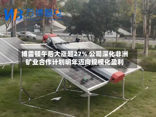 博雷顿午后大涨超27% 公司深化非洲矿业合作计划明年迈向规模化盈利-第3张图片