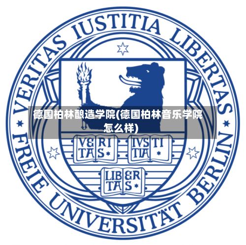 德国柏林酿造学院(德国柏林音乐学院怎么样)