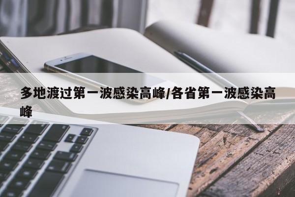 多地渡过第一波感染高峰/各省第一波感染高峰