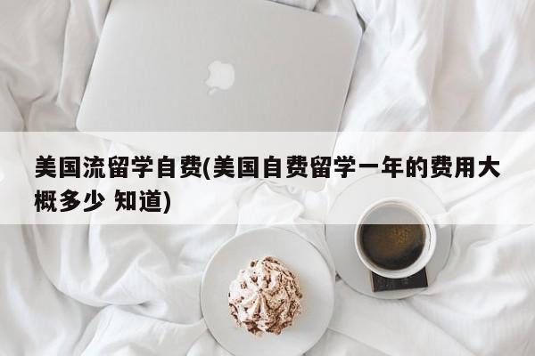 美国流留学自费(美国自费留学一年的费用大概多少 知道)