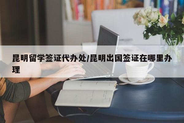 昆明留学签证代办处/昆明出国签证在哪里办理