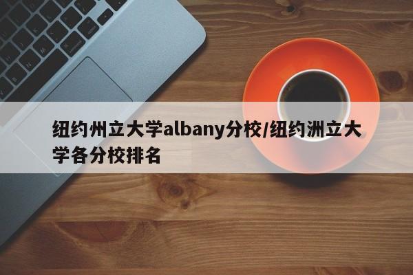 纽约州立大学albany分校/纽约洲立大学各分校排名
