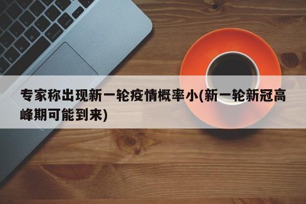 专家称出现新一轮疫情概率小(新一轮新冠高峰期可能到来)