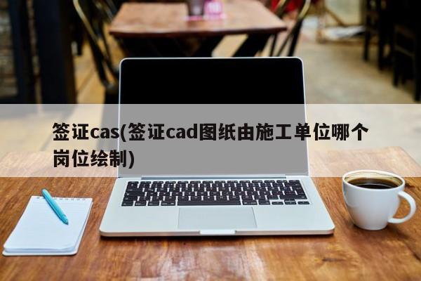 签证cas(签证cad图纸由施工单位哪个岗位绘制)