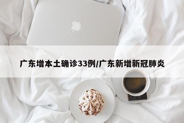 广东增本土确诊33例/广东新增新冠肺炎