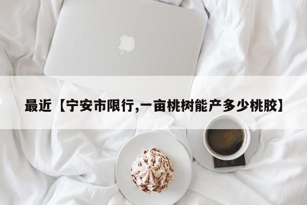 最近【宁安市限行,一亩桃树能产多少桃胶】