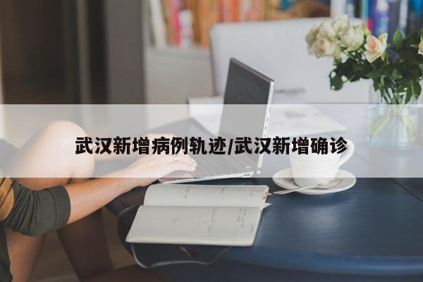 武汉新增病例轨迹/武汉新增确诊