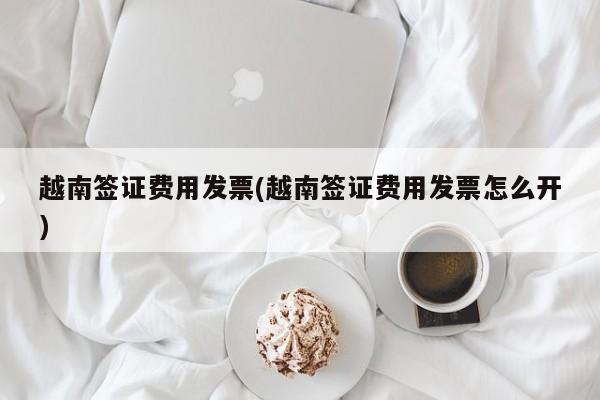 越南签证费用发票(越南签证费用发票怎么开)