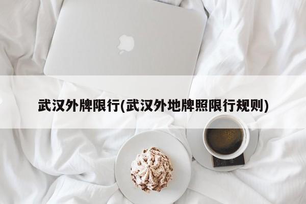 武汉外牌限行(武汉外地牌照限行规则)
