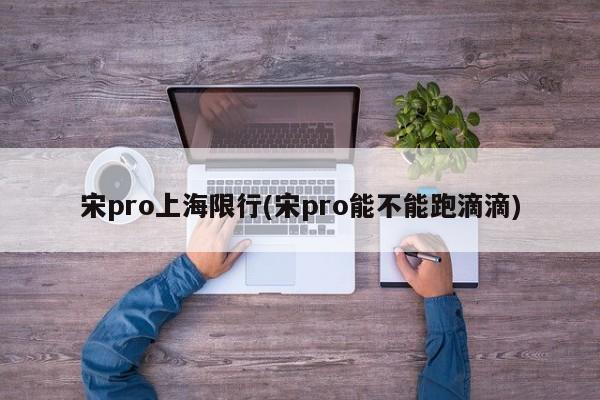 宋pro上海限行(宋pro能不能跑滴滴)