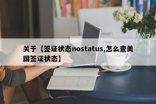 关于【签证状态nostatus,怎么查美国签证状态】