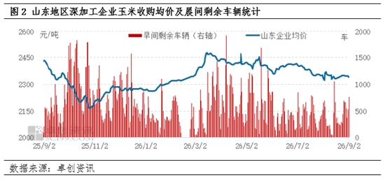新季玉米上市窗口期开启	，玉米淀粉现货市场价格不断承压